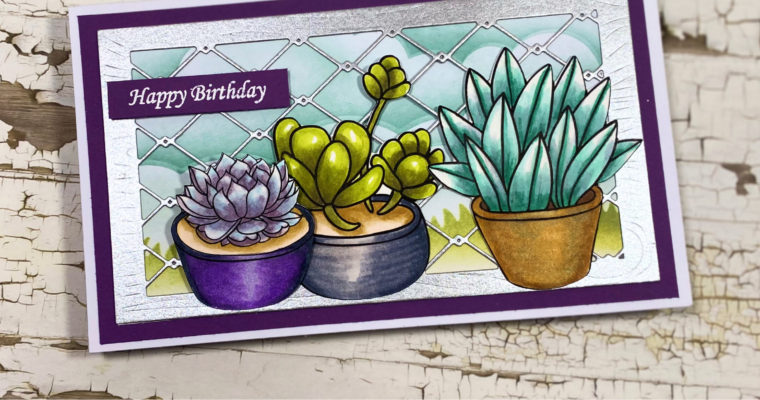 Joy Clair’s “Blooming in Life” New Release – Day 2
