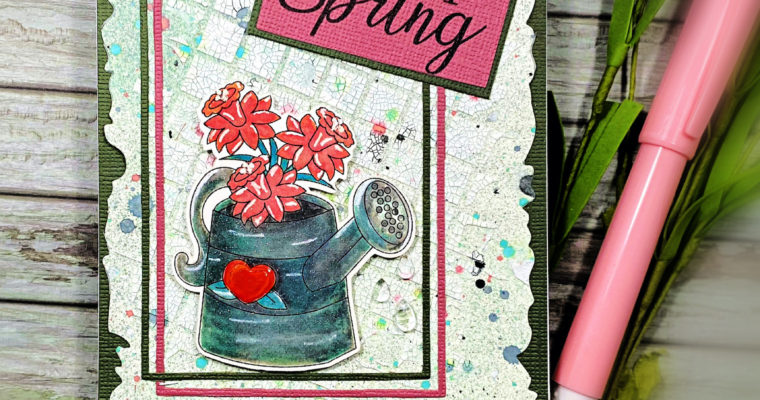 Happy Spring!