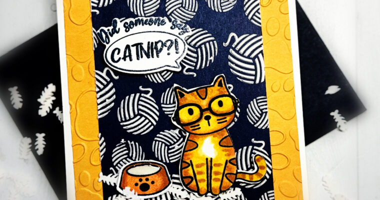 Did Someone Say Catnip?